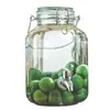 Jarra para Fermentar Vino de Ciruela Verde y Mirto del Fabricante, Jarra de Vidrio de Burbujas Estilo Ins, Recipiente Sellado para Fermentar con Tapa de Presión y Grifo, Boca Ancha