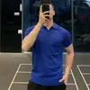 Camisa Polo Tricotada com Gola Lapela Masculina de Seda Gelada para Verão, Estilo Leve e Maduro, Casual de Negócios, Versátil, Cor Lisa, Manga Curta