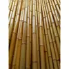 Cañas de bambú anticorrosivas, cañas de bambú amarillas y blancas para decoración de interiores, cañas de bambú para decoración de patios, cañas de bambú para mamparas divisorias, cañas de bambú para banderas coloridas, cañas de bambú gruesas