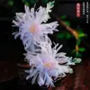 Tocados para el Día del Niño Li Yitong Ciervo Blanco Mismo Pasador Borla de Perla Aire de Hada Pasador Alas de Mariposa Tocados de Elfo