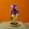 Nuevo ramo eterno transfronterizo con cubierta de vidrio, regalo creativo para ceremonia romántica, luz LED, decoración de escritorio, micro paisaje