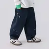 Calça Infantil Estilo Outono Calça Esportiva de Menino 2026 Nova Calça de Moletom de Menino Calça Curva Calça Longa Solta para Bebê