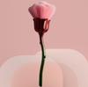 Caja de Flores de Rosa Transfronteriza Empaquetada con Polvo Suelto Pincel, Pincel de Maquillaje Grande, Nuevo Pincel para Polvo de Uñas, Pincel de Rubor de Flores, Comercio Exterior