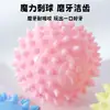 Juguete para Perro de TPR Macarrón Elástico Bola Pequeña con Púas 6cm en Stock Venta al por Mayor Resistente a la Mordida de Perro Bola Elástica Sólida