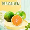 Laranjas de Hubei Yichang, atacado e dropshipping disponíveis, 3/5/9 libras, 50-60mm, caixa inteira, produtos frescos, fruta fresca