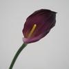 Lírio-de-calla Flor Artificial de Alta Qualidade Negócio em Casa Arranjo de Flores Decoração Decoração de Mesa Paisagismo de Casamento Adereços para Fotografia