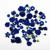 Flores de tela hechas a mano DIY 75 piezas de la serie azul zafiro flor para la cabeza corsage joyería caja de dulces flores decorativas venta caliente de comercio exterior