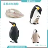 Juguete modelo de animal pequeño simulación ciclo de vida crecimiento rana tortuga pollo Montessori material didáctico preescolar venta al por mayor