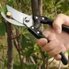 Tijeras de Podar Afiladas, Tijeras para Podar Árboles Frutales, Tijeras para Podar Flores, Tijeras de Podar Agrícolas y para el Hogar, Herramientas para Cortar Ramas de Frutas en el Jardín