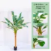 Bonsái de árbol de simulación al por mayor, platanero de brocado blanco, decoración de planta verde de simulación, decoración de bonsái, planta de platanero de simulación