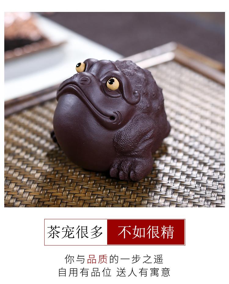 金蟾，求财金蟾2019 11 10