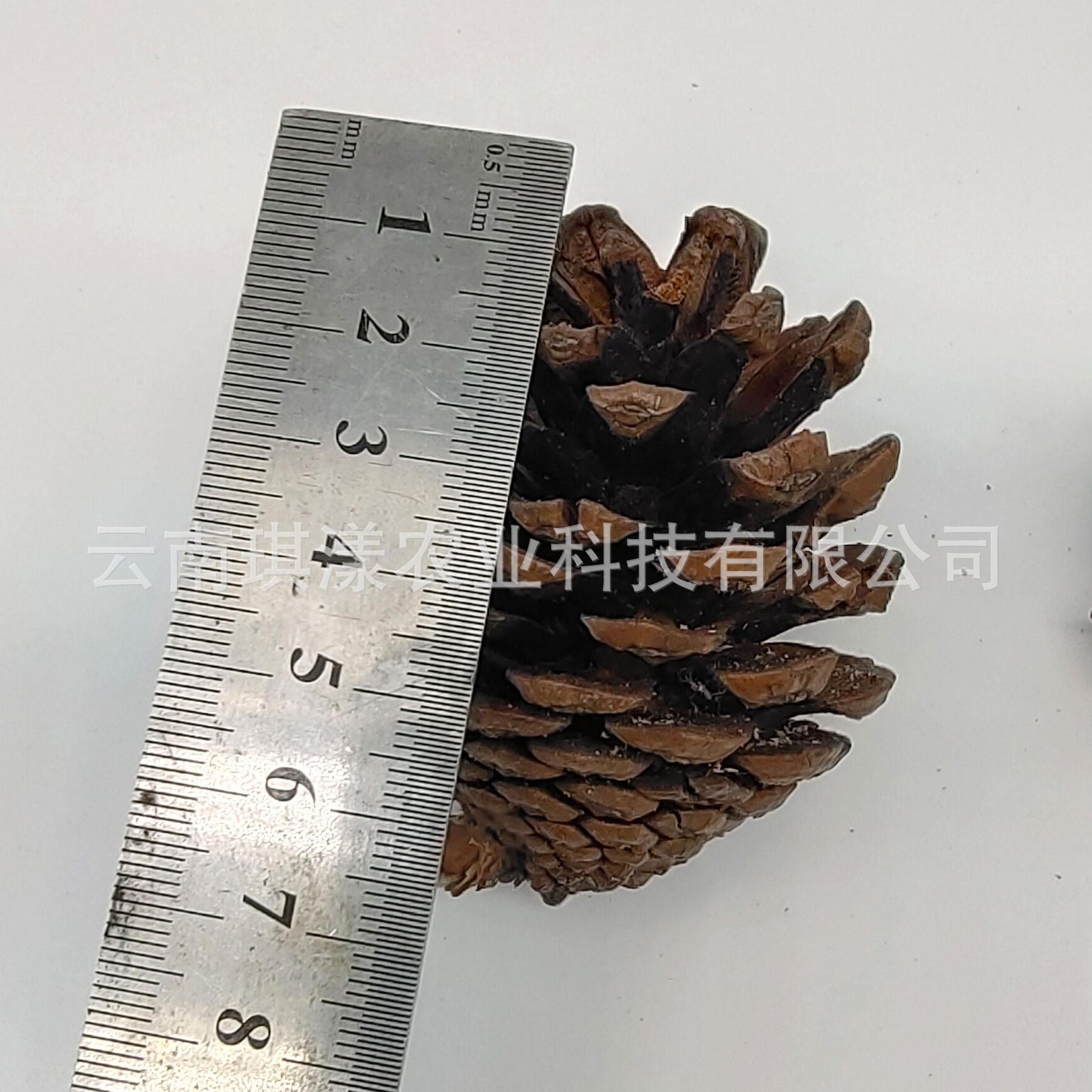 微信图片_20201016103539.jpg