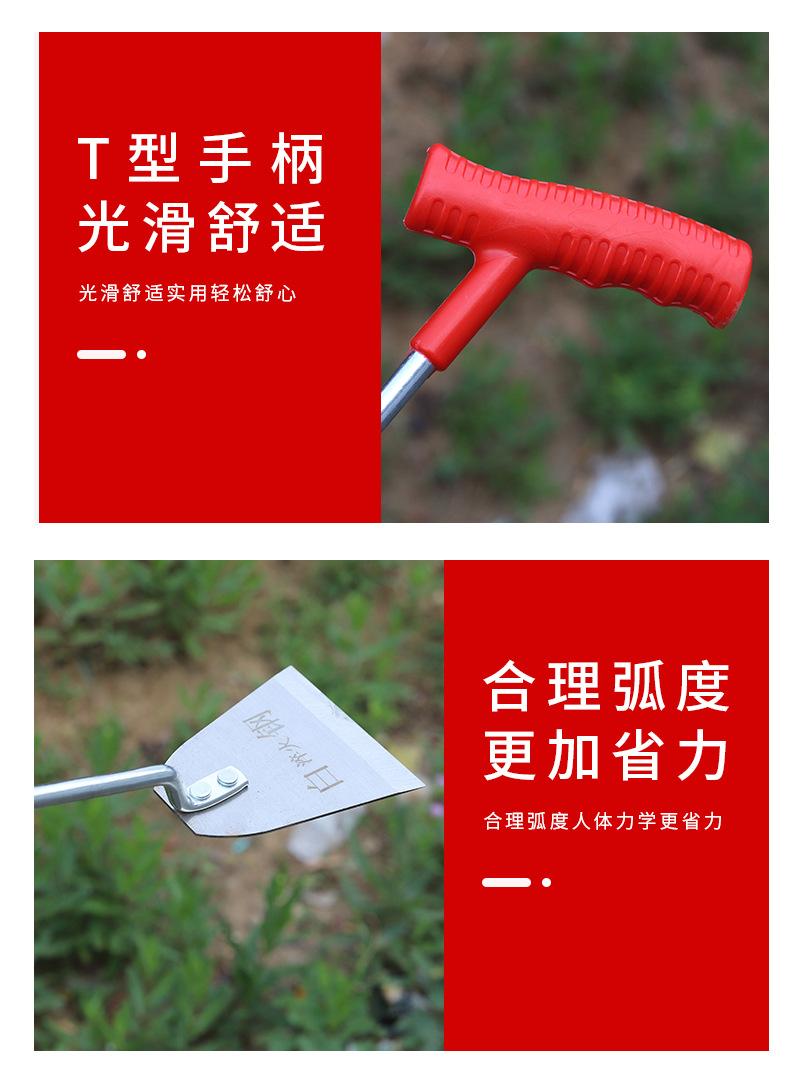 详情_05.jpg