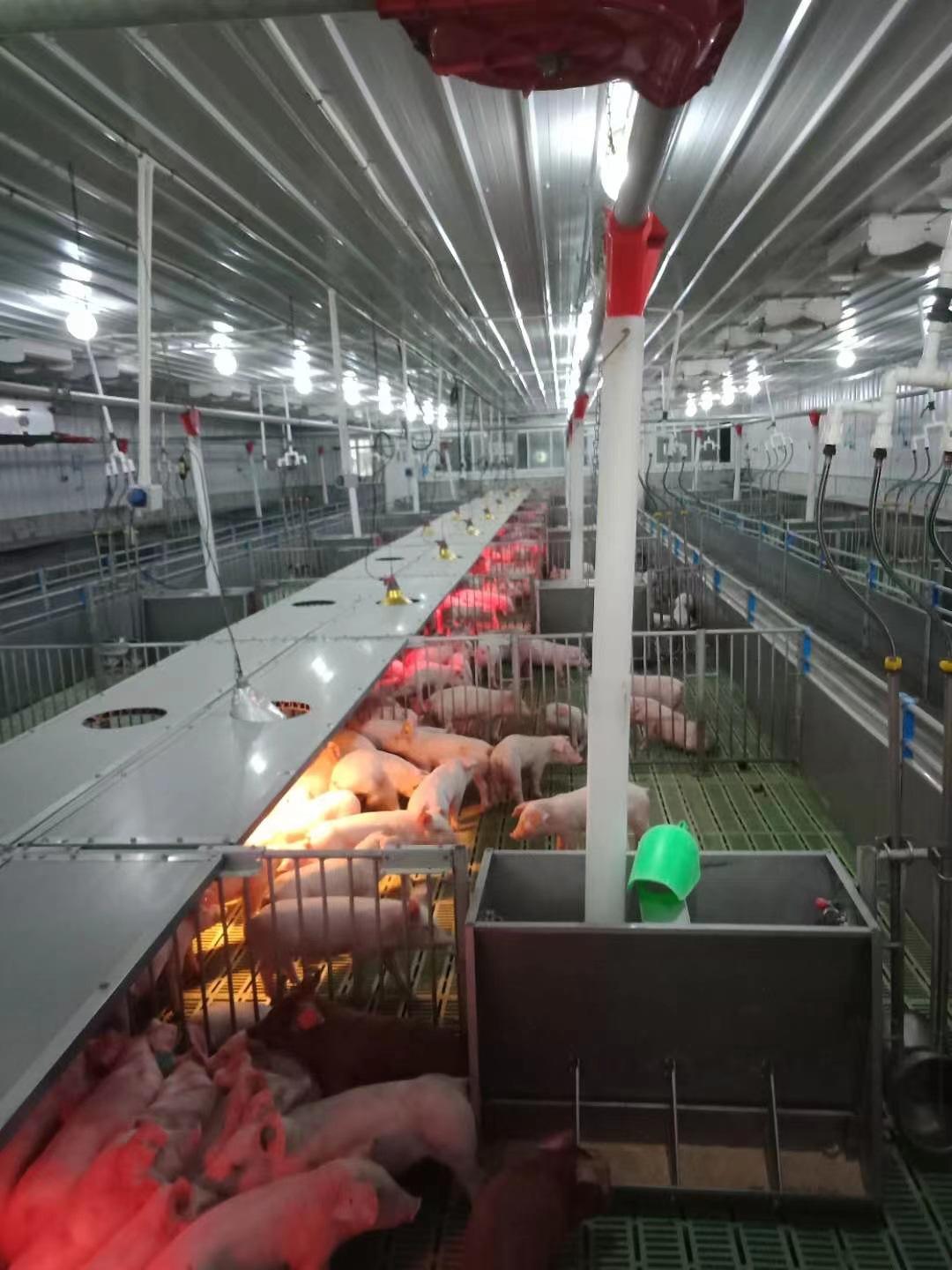 b00da22ae50147a2b96cbc94db2c18