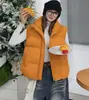 Colete acolchoado curto estilo coreano com gola alta, novo design casual e versátil para outono/inverno, efeito emagrecedor, sem mangas, pode ser usado como camada externa