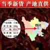 Carne de res cortada en frío con tiras de chile, especialidad comercial de Sichuan, ligeramente picante y particularmente fragante, tiras de chile rojo seco Erjingtiao sin semillas fritas en seco