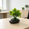 Nuevo Lavabo Plano de Piedra Negra Combinación con Planta Verde Mini Bonsái Escritorio de Oficina Mini Maceta Artificial Accesorios para Fotografía de Plantas