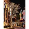 Decoración Navideña Luces de Hadas Pequeñas Luces de Cadena Intermitentes Cielo Estrellado Luces de Cadena Coloridas Luces de Ambiente Luces de Cadena para Exteriores Luces para Árboles Luces de Neón