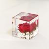 Aiwei novo artesanato de decoração de rosa bolha de flor real tridimensional Dia dos Namorados Rosa Âmbar flor eterna cidade do livro