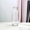Vaso de Vidro Transparente Colorido Simples Estilo Europeu Arranjo de Flores Boca Pequena Sala de Estar Galvanizado Fosco Vasos de Flores Ornaments Criativos ins
