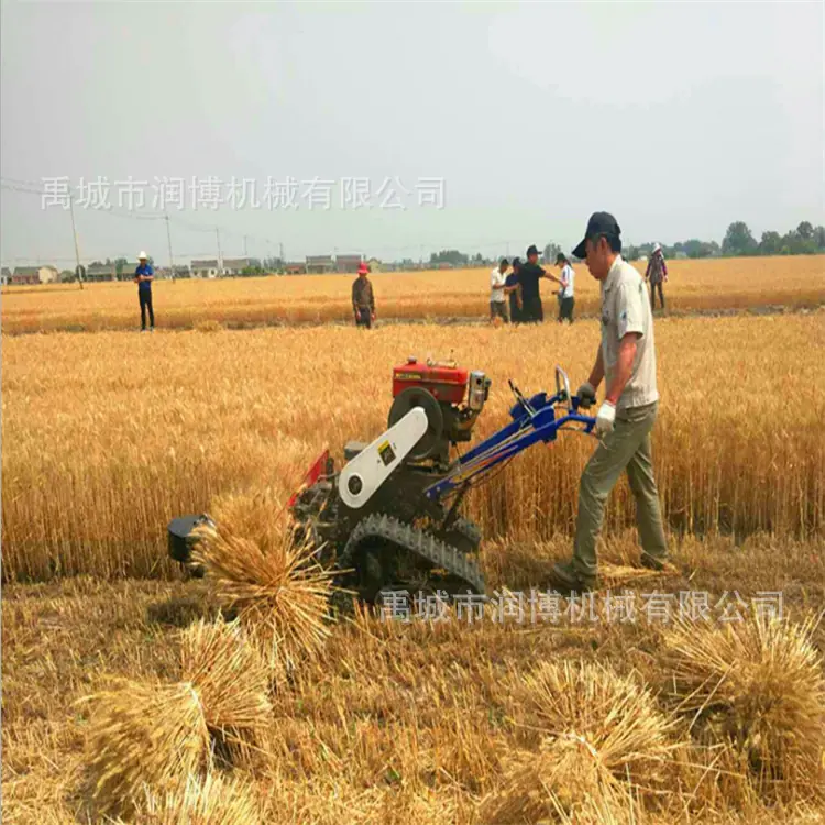 微信图片_20190126160833.png