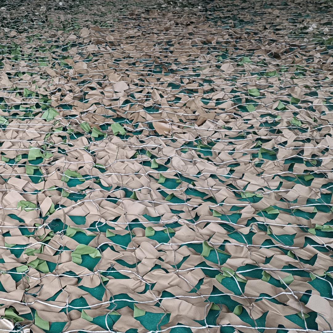 微信图片_20250408111933