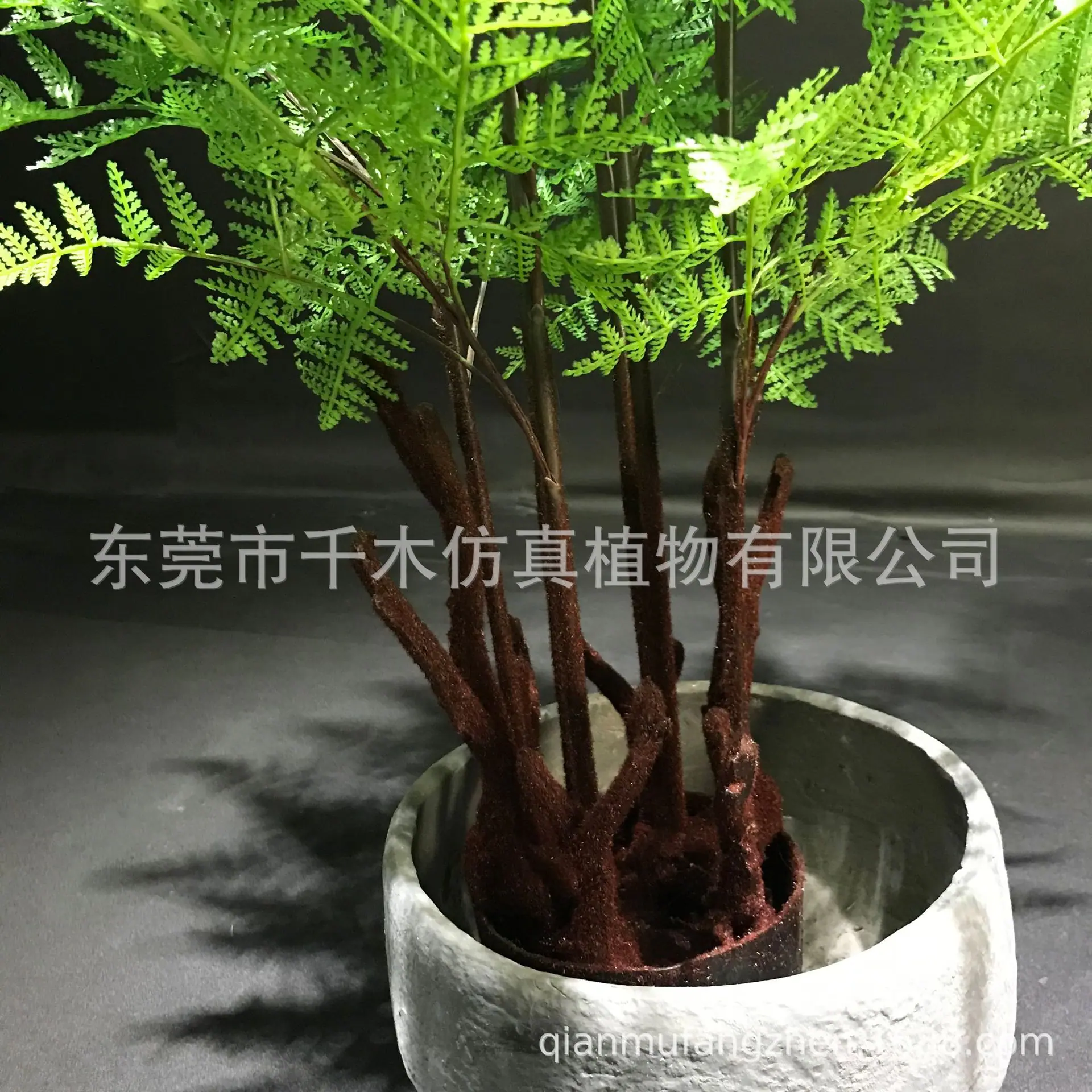 微信图片_202012042043207
