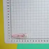 Pegatinas de gotas de agua translúcidas de gato de dibujos animados para manualidades, accesorios semiacabados para fundas de teléfono, Crocs, bolsos y materiales de ropa al por mayor