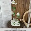 Flores Artificiais de Clematis com Haste Longa, Flores Artificiais Lineares de Tecido de Seda, Decoração para Hotel e Casa, Arranjo para Decoração de Casamento