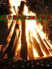 Leña para Fogata, Madera Decorativa, Leña para Estufa Doméstica, Leña para Chimenea de Una Tonelada Fuego Real Madera Partida, Madera Frutal para Quemar