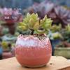 Vaso de Flor Carnuda Cerâmica Jardinagem Cerâmica Mini Novo Criativo Grés Casa Vintage Novo Vaso de Porcelana Vaso