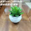 Plantas Suculentas de Simulación Flores Artificiales Suministro Directo Mesa de Exhibición Decoración Adornos Pequeños Suculentas Falsas Bonsái Plantas Verdes Plantas Pequeñas en Maceta