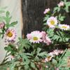 Enredadera de Margarita Girasol Pequeño Tira Artificial para Decoración de Conducto de Aire Acondicionado de Sala de Estar Cubierta de Ventana Interior Planta Verde de Alta Simulación