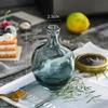 Vaso de Vidro Simples para Garrafa Hidropônica Estilo Ins de Alto Padrão Cultura em Água Transparente Decorações de Mini Arranjo de Flores para Sala de Estar Hidropônica