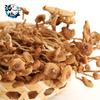 Hongo de té productos secos 100g envío gratis productos nuevos sin bolsas paraguas hongo de té hongo hongo fábrica venta al por mayor sopa de hongo seco