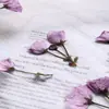 Ramas dobles de sakura, flores secas, pétalos de flores prensadas, marcapáginas de flores reales, especímenes de plantas, marcos de fotos, velas, materiales para flores prensadas DIY