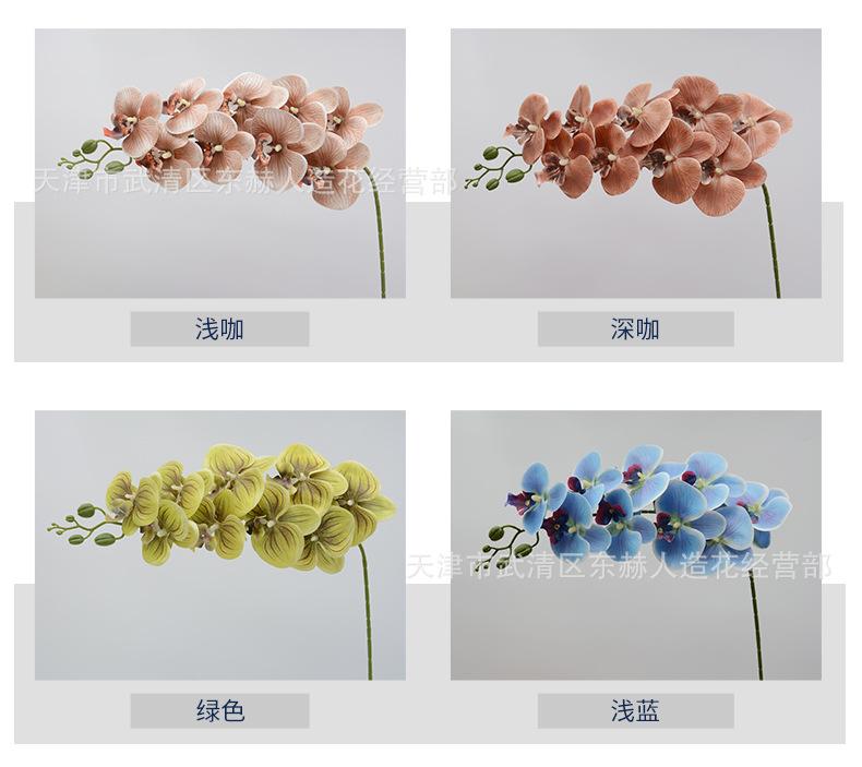 详情_05.jpg