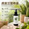Fertilizante Especial para Sansevieria Solución Nutritiva No Requiere Dilución Orquídea Cola de Tigre Borde Dorado Plantas de Maceta para el Hogar Universal Al Por Mayor