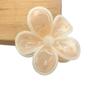 Clip de Flor de Huevo Color Caramelo Más Vendido de Amazon Transfronterizo Clip para el Cabello Color Transparente Clip para el Cabello Parte Posterior de la Cabeza