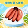 Banana Vermelha Beleza de Fujian Atacado Dropshipping 1/3/ 2,5kg Banana de Casca Vermelha Banana Tropical Não de Milho Fruta Fresca