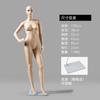 Manequim de Loja de Roupas Adereços Manequins Masculinos e Femininos Estilo Tom de Pele com Base Corpo Inteiro Manequim Humano Suporte Adereços de Exibição