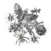 Suministro Exclusivo Transfronterizo de Accesorios DIY Serie Insectos Cadenas para Teléfono Móvil, Collares, Pulseras, Accesorios de Joyería, Aleación de Zinc Plata al por Mayor