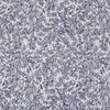 Tejido jacquard teñido en hilo de poliéster y algodón, tejido jacquard clásico de moda Lugg de 320 g para cojines y sofás.