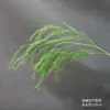 Libro Caperucita Roja Simulación de Explosión Hierba de Espárrago Vestido Suave Material de Flores de Boda Mori Brote Alto de Sauce Hierba de Aire Material de Flores de Paisaje Colgante