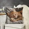 Funda de Almohada de Gato Temu Transfronteriza Animal Lindo Infantil Gato Dormitorio Hogar Sofá Funda de Cojín Decorativa Venta al por Mayor