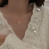Colar de Gota em Prata S925 para Mulheres, Design de Nicho de Luxo Leve, Estilo Minimalista Simples, Corrente de Clavícula da Moda com Toque de Luxo e Franjas
