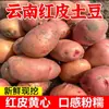Papas de piel roja y pulpa amarilla recién cosechadas de Yunnan 10/ 1.5kg Papas pequeñas cultivadas en granja al por mayor