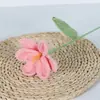 Flor de Tulipan Terminada Hecha a Mano con Lana Flor de Lana Tejida a Crochet Flor Artificial Flor Inmortal Tulipan Abierto y Cerrado Flor de Lana de Tulipan