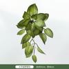 Cueva de Hadas Tortuga Hoja Tacto Humano Flor-hoja Material Esquina de Planta Ventana Hermoso Paisaje Chen Decoración Decoración Planta Verde Simulación Paquete