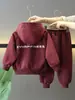 Conjunto de Ropa de Primavera para Niños 1453, Nuevo Estilo Coreano Fresco y Elegante Ropa Infantil, Conjunto de Dos Piezas con Sudadera con Capucha Primavera y Otoño para Bebé Moderno